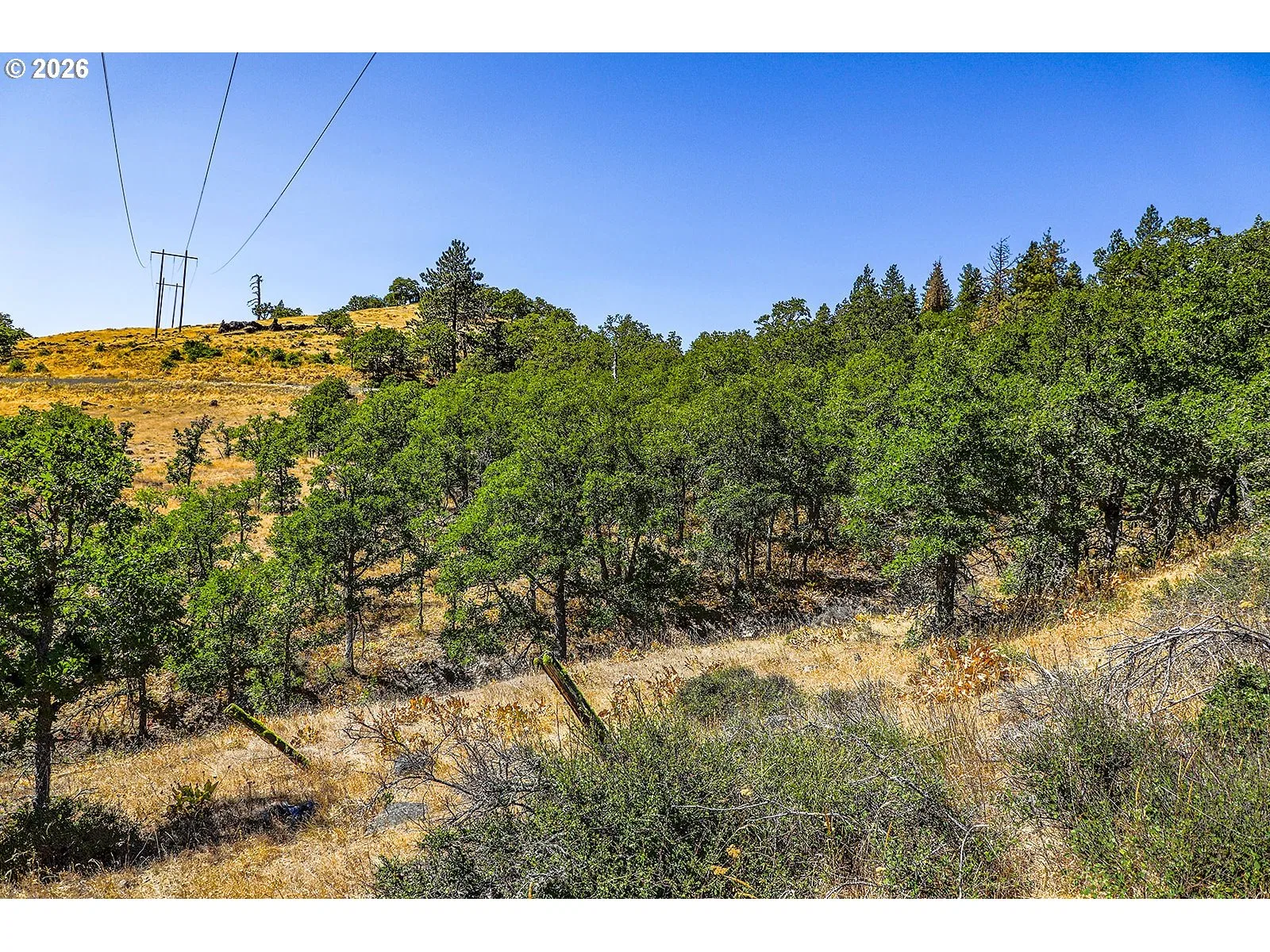 2300 Dry Creek Rd, Mosier, OR 97040 — photograph 29