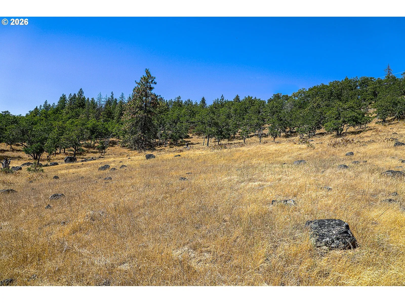 2300 Dry Creek Rd, Mosier, OR 97040 — photograph 37