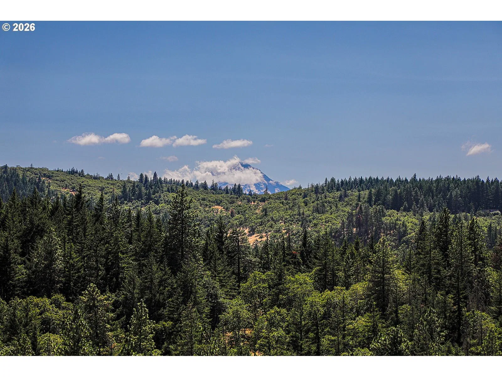 2300 Dry Creek Rd, Mosier, OR 97040 — photograph 6