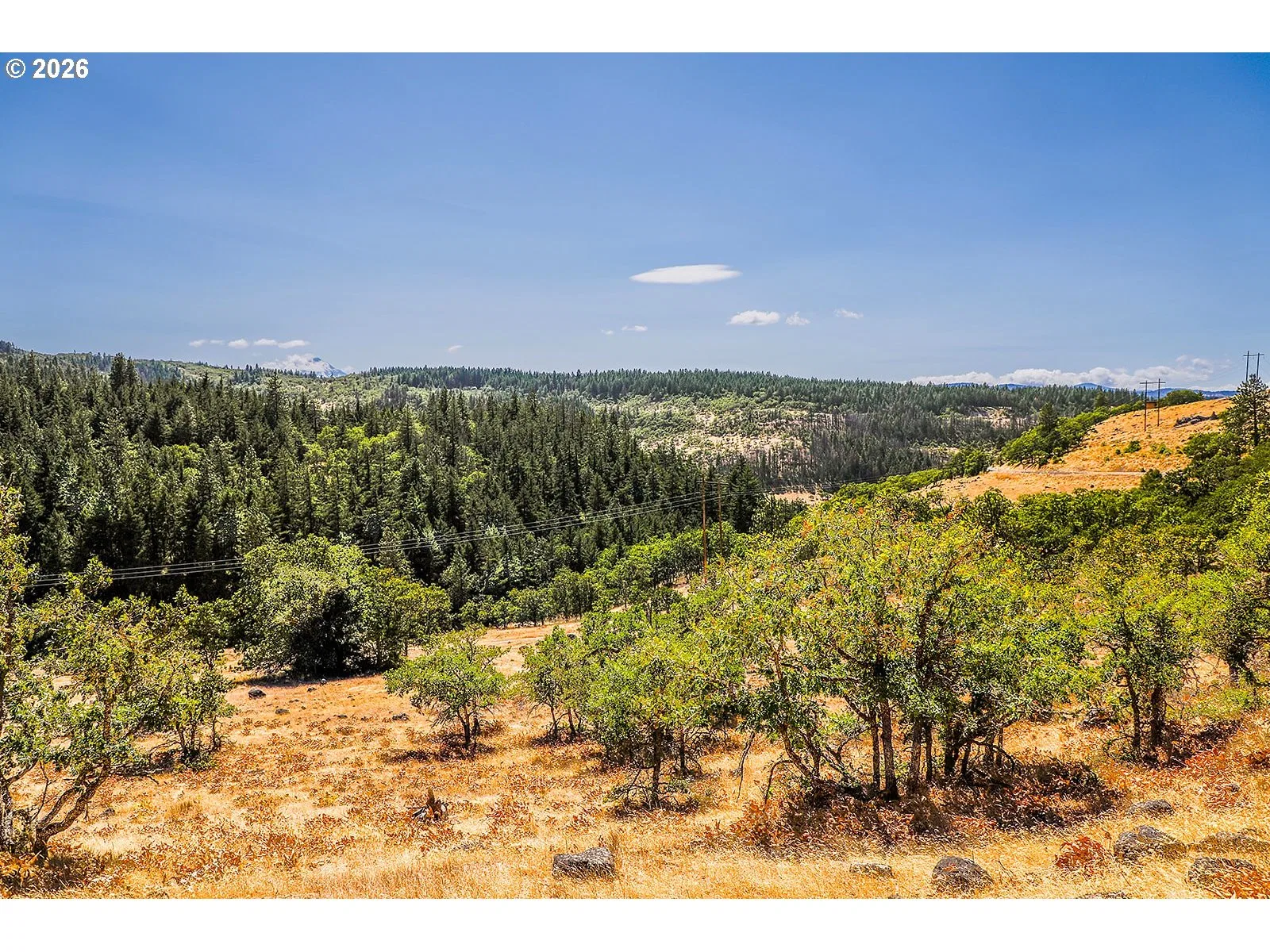 2300 Dry Creek Rd, Mosier, OR 97040 — photograph 39