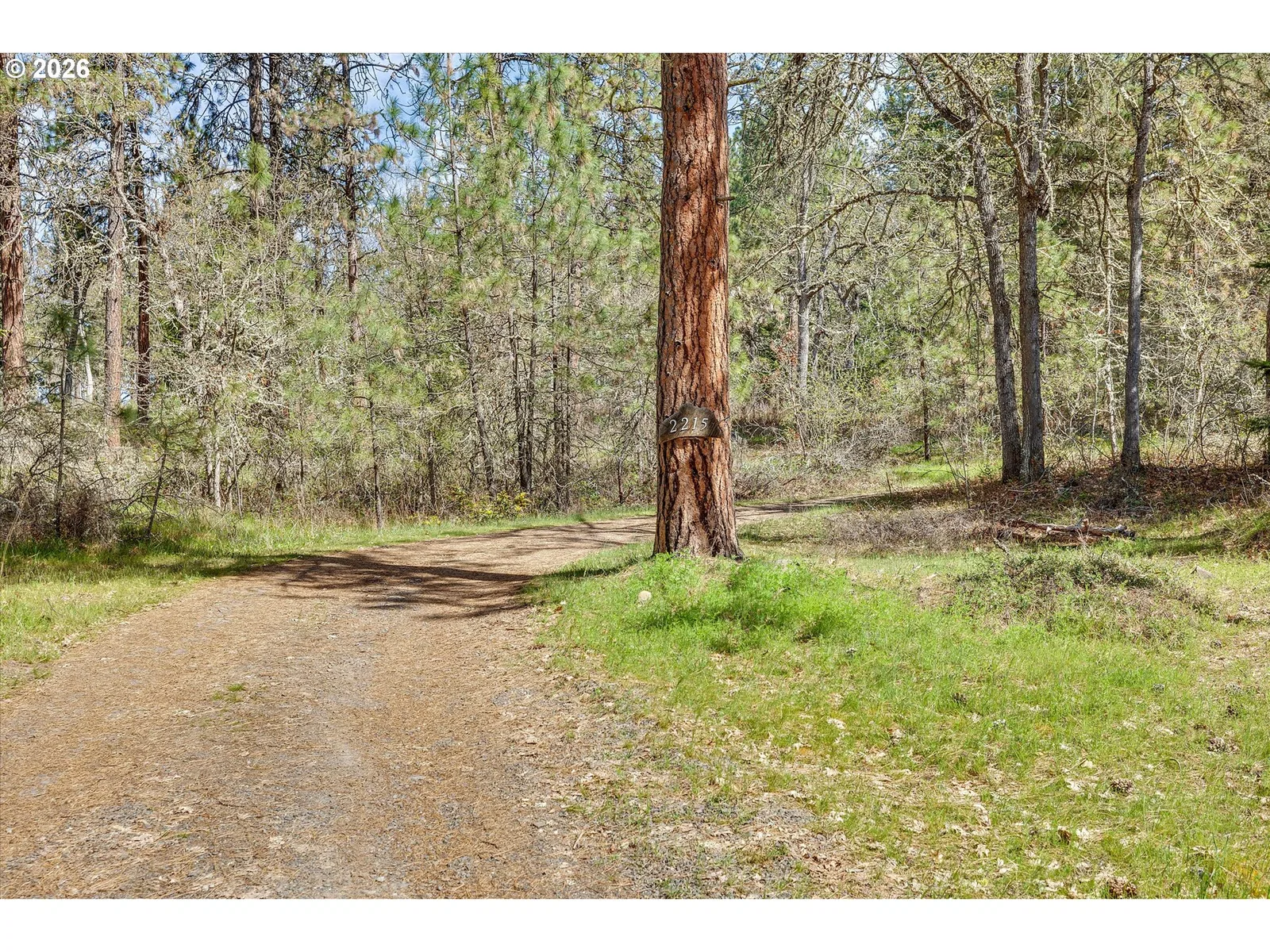 2215 Pine Oak Rd, Mosier, OR 97040 — photograph 43