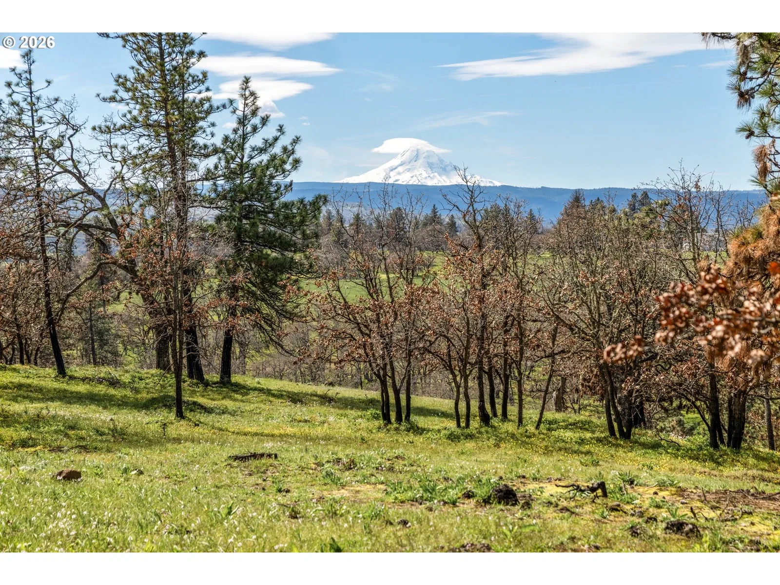 10 Canyon Rd, Lyle, Wa 98635 — photograph 6