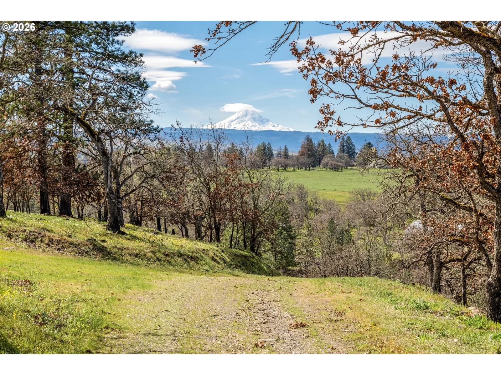 10 Canyon Rd, Lyle, Wa 98635 — photograph 15
