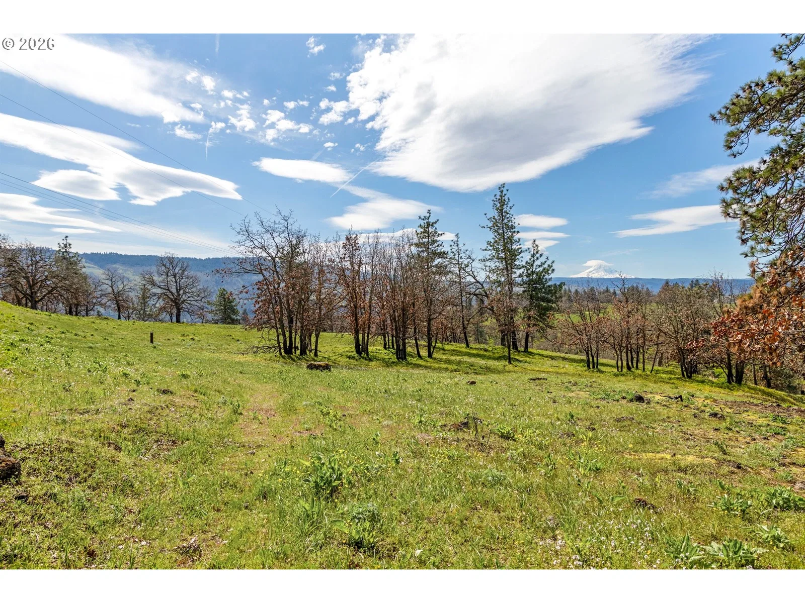 10 Canyon Rd, Lyle, Wa 98635 — photograph 32