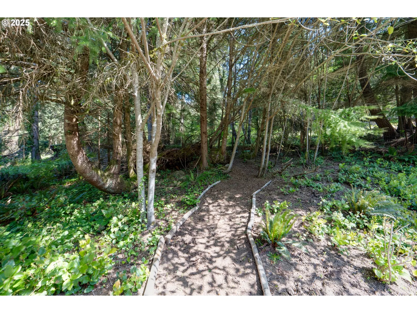 9330 Dewolf Rd, Manzanita, OR 97130 — photograph 23