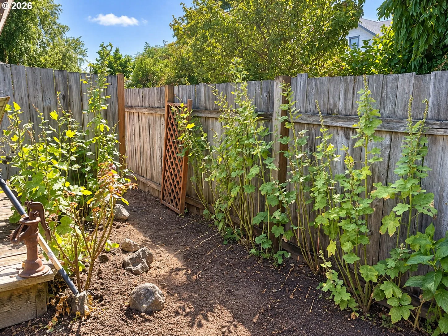 1642 SE Cortland Ave, Dallas, OR 97338 — photograph 19