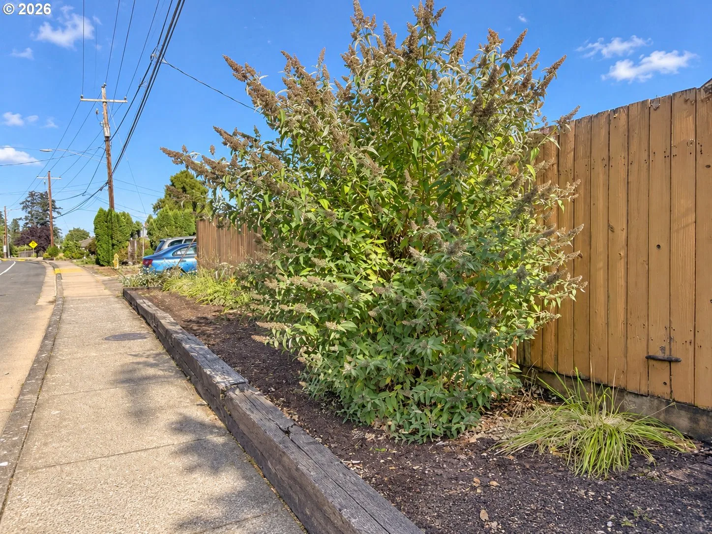 1642 SE Cortland Ave, Dallas, OR 97338 — photograph 22