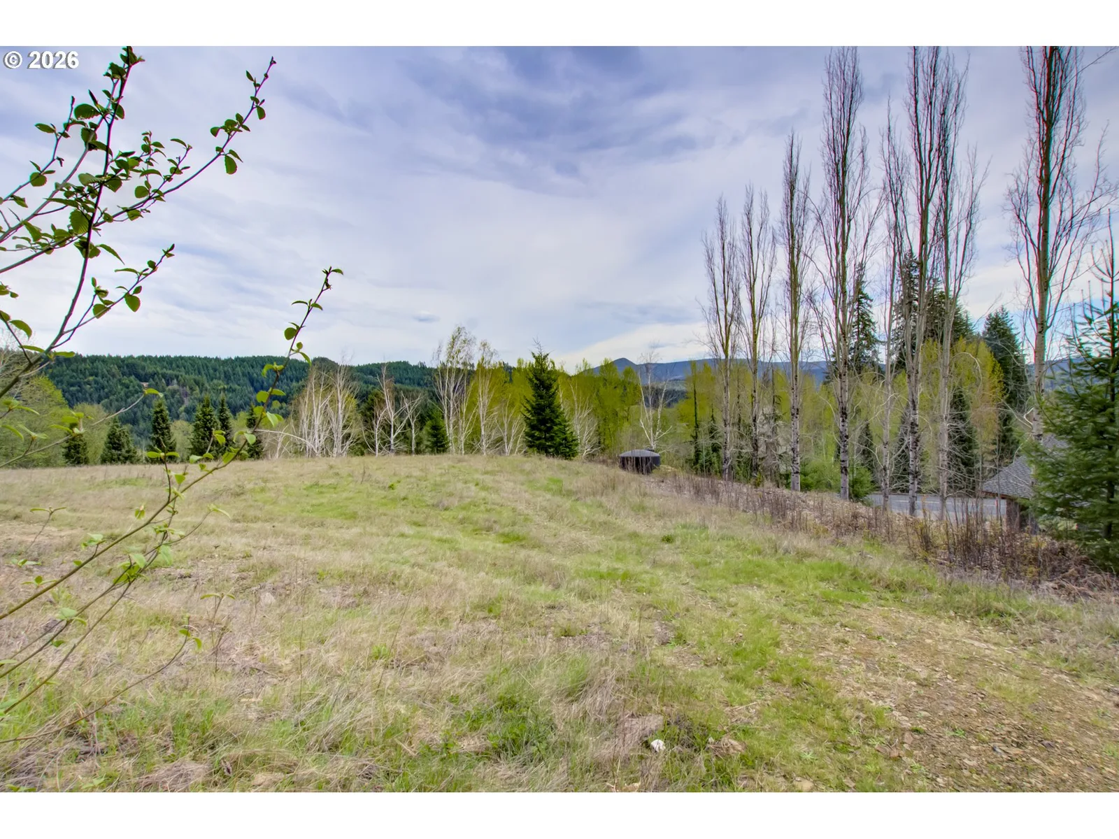 235 Bayswater Rd, Amboy, Wa 98601 — photograph 7