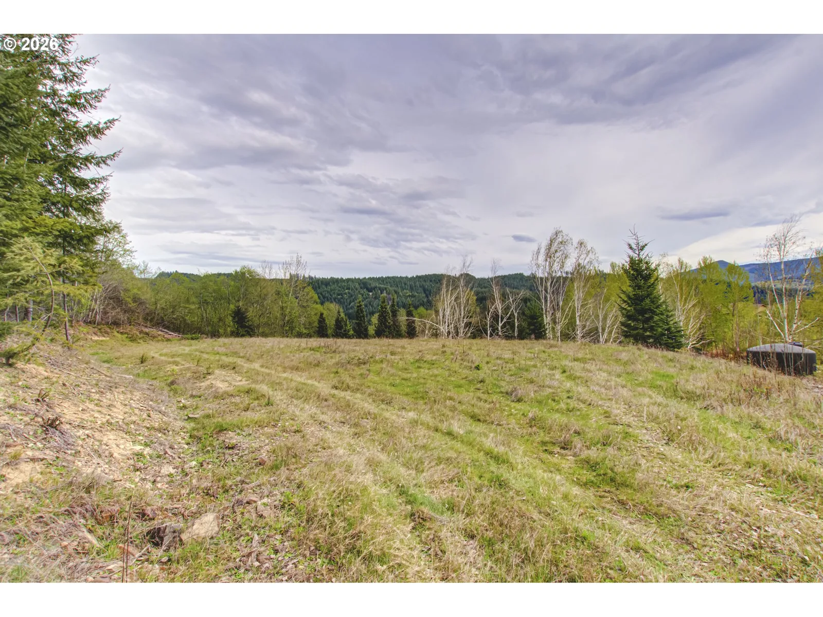 235 Bayswater Rd, Amboy, Wa 98601 — photograph 8