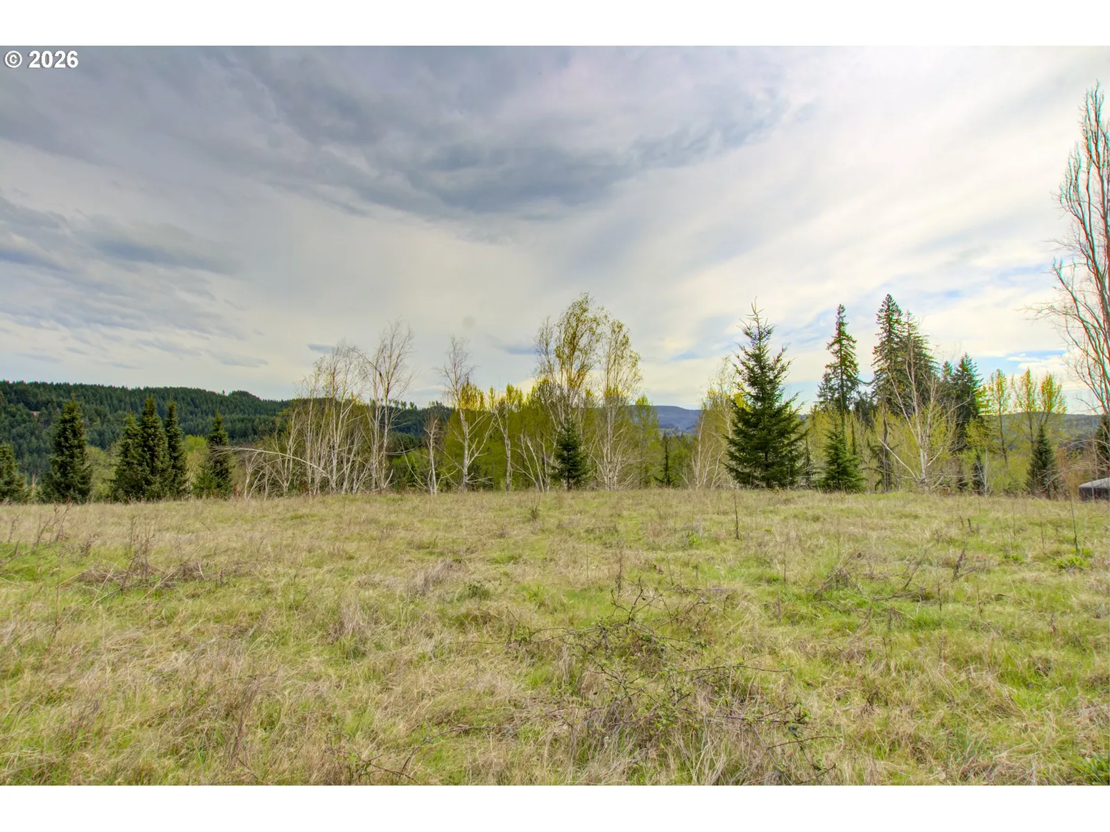 235 Bayswater Rd, Amboy, Wa 98601 — photograph 9