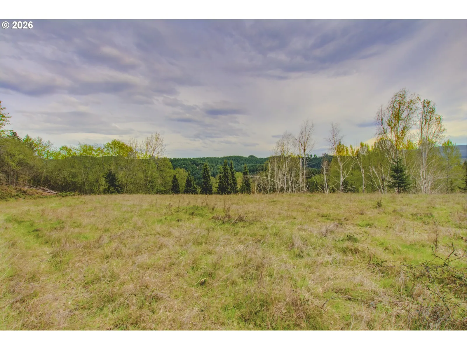 235 Bayswater Rd, Amboy, Wa 98601 — photograph 10