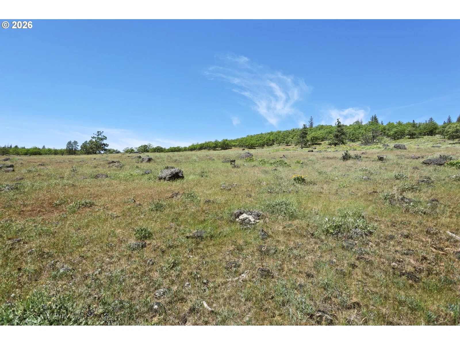 0 Nka Thompson Trail, Goldendale, Wa 98620 — photograph 13