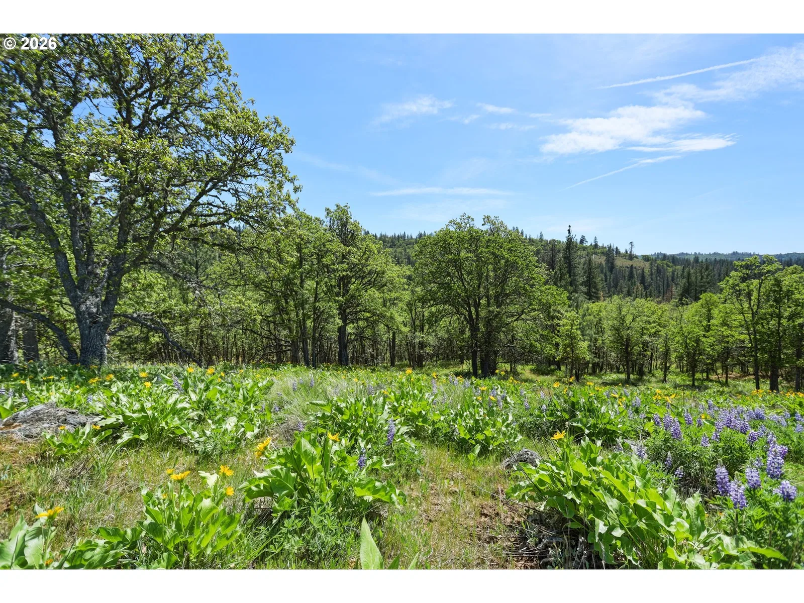 0 Nka Thompson Trail, Goldendale, Wa 98620 — photograph 14