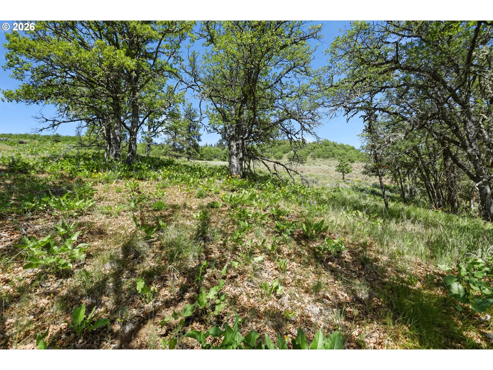 0 Nka Thompson Trail, Goldendale, Wa 98620 — photograph 15