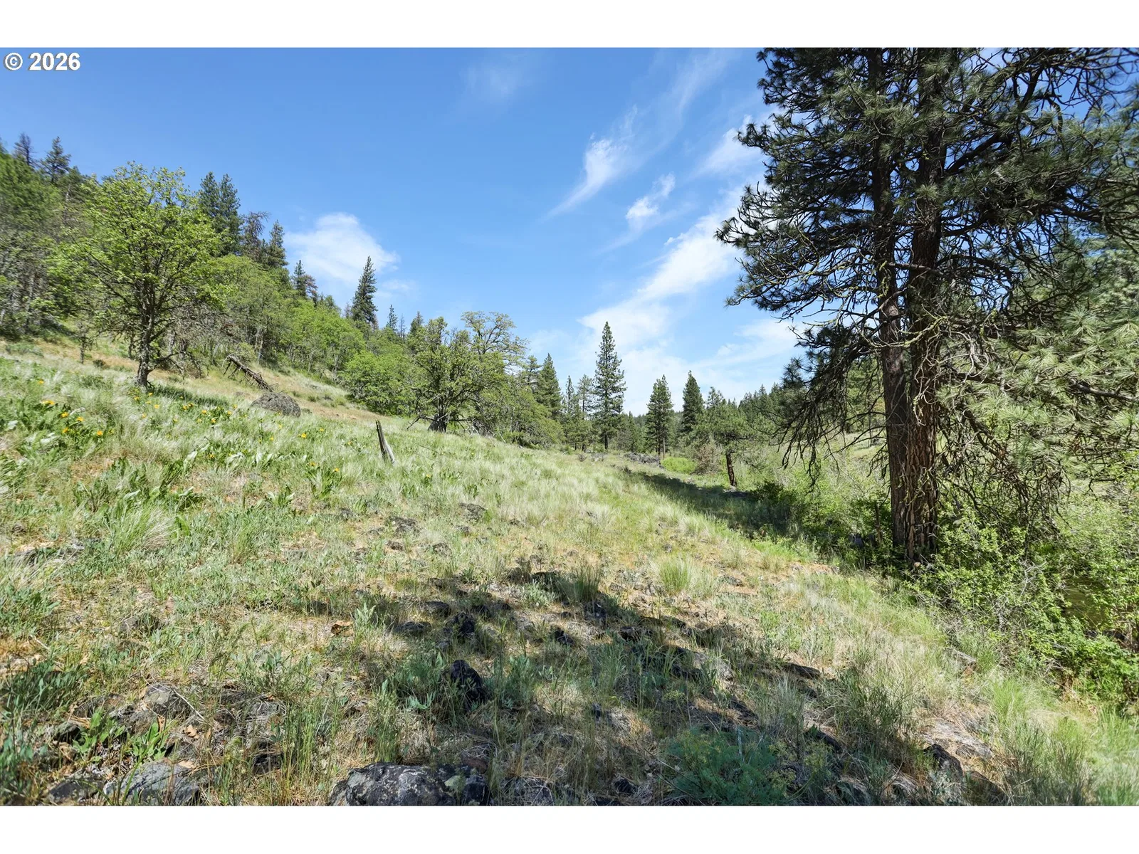 0 Nka Thompson Trail, Goldendale, Wa 98620 — photograph 19