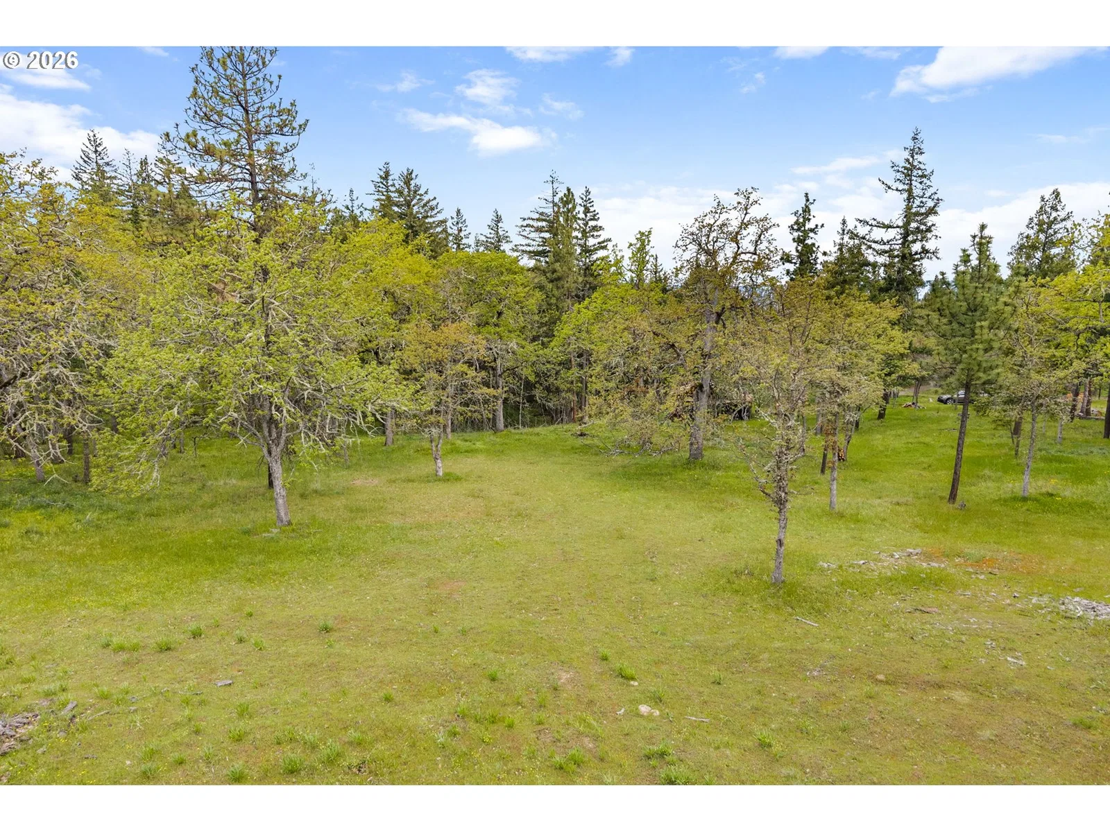 Evergreen Terrace, Mosier, OR 97040 — photograph 6