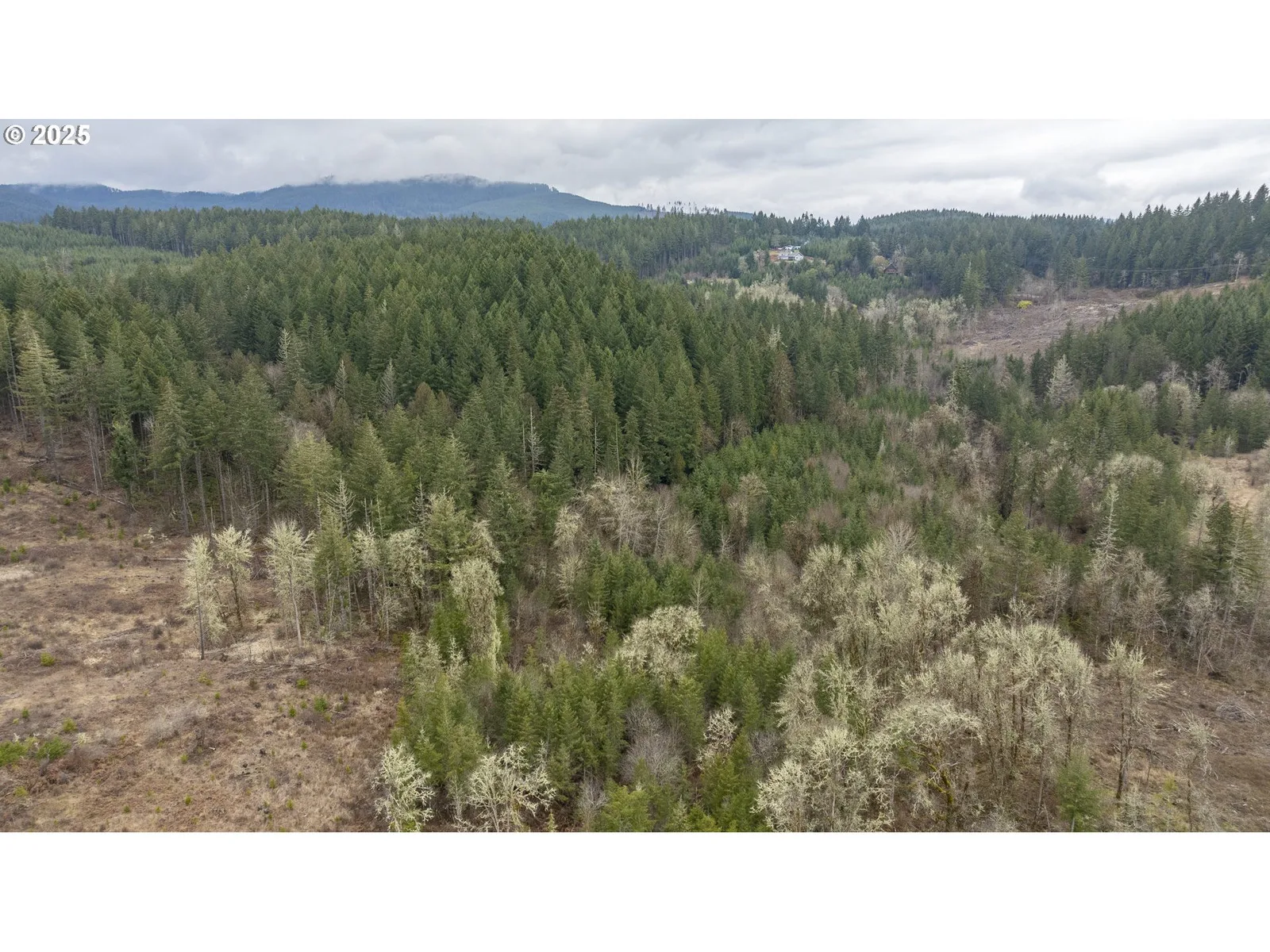0 Panther Creek Rd, Carlton, OR 97111 — photograph 13