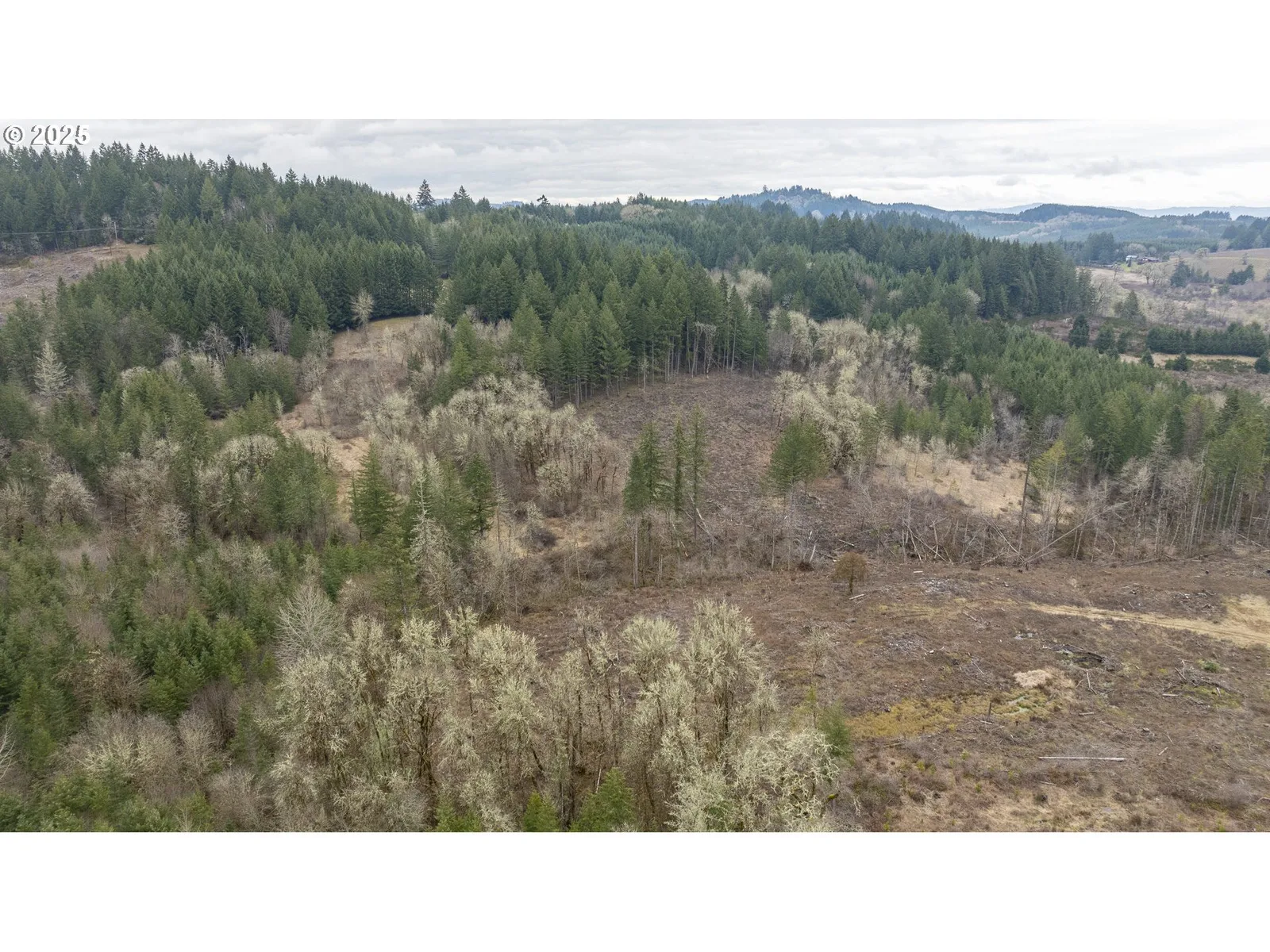 0 Panther Creek Rd, Carlton, OR 97111 — photograph 14