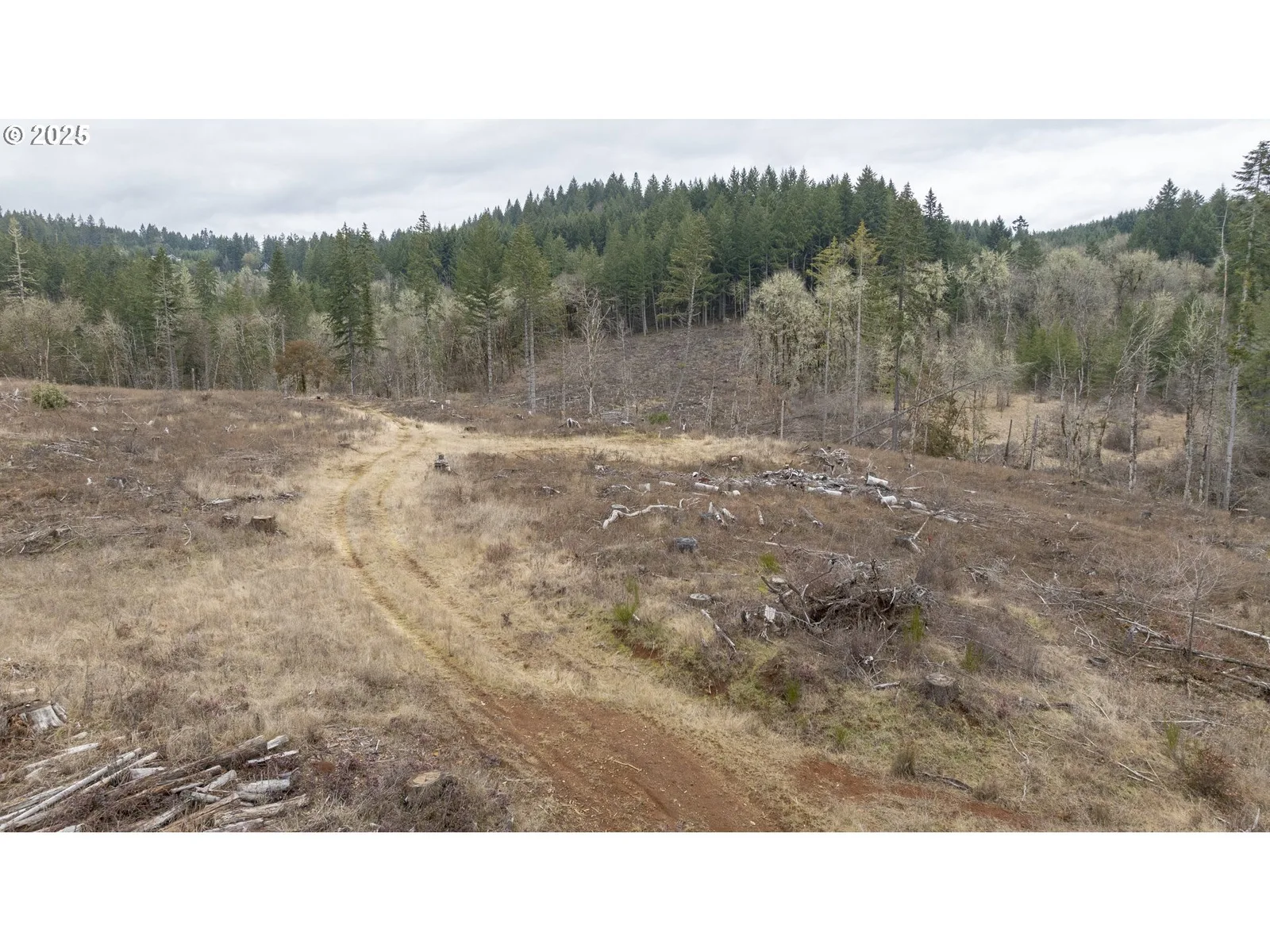 0 Panther Creek Rd, Carlton, OR 97111 — photograph 19