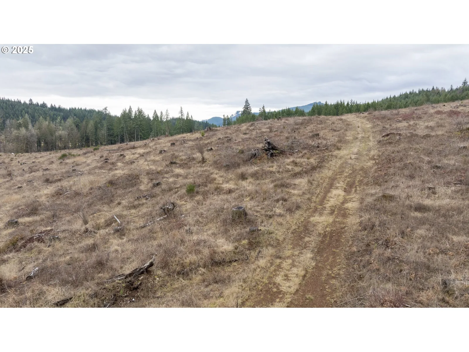 0 Panther Creek Rd, Carlton, OR 97111 — photograph 22