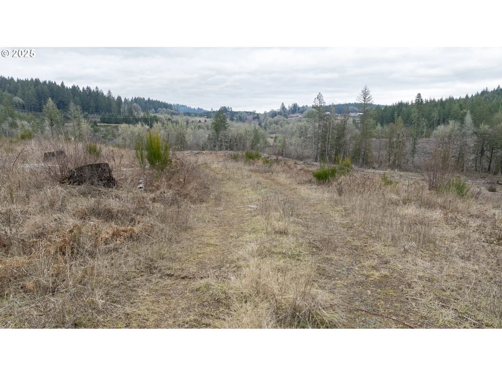 0 Panther Creek Rd, Carlton, OR 97111 — photograph 24