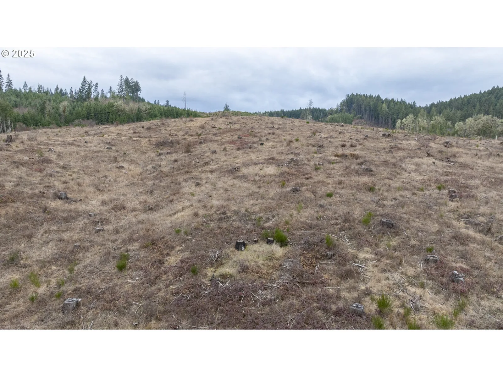 0 Panther Creek Rd, Carlton, OR 97111 — photograph 27