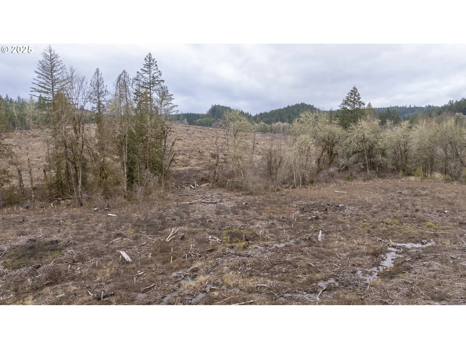 0 Panther Creek Rd, Carlton, OR 97111 — photograph 34