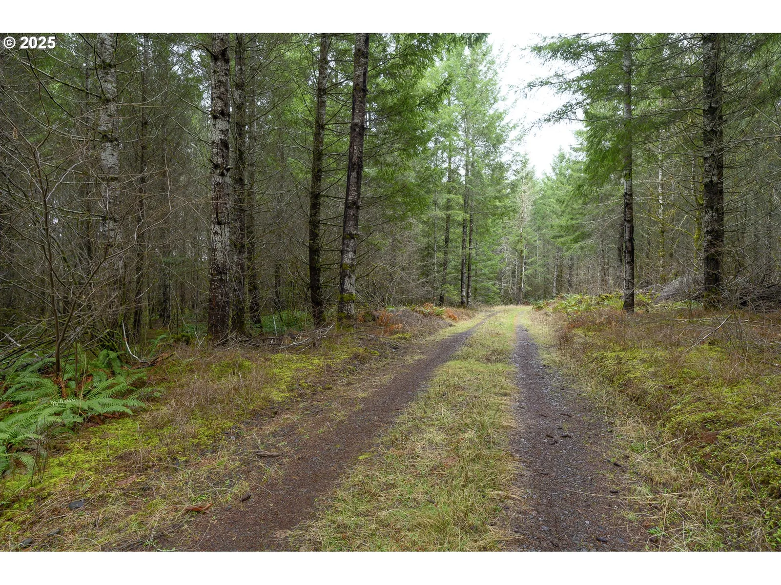 0 Panther Creek Rd, Carlton, OR 97111 — photograph 40
