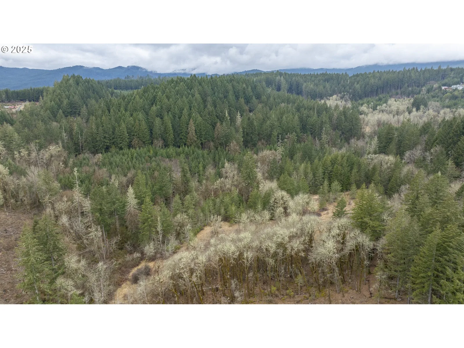 0 Panther Creek Rd, Carlton, OR 97111 — photograph 48