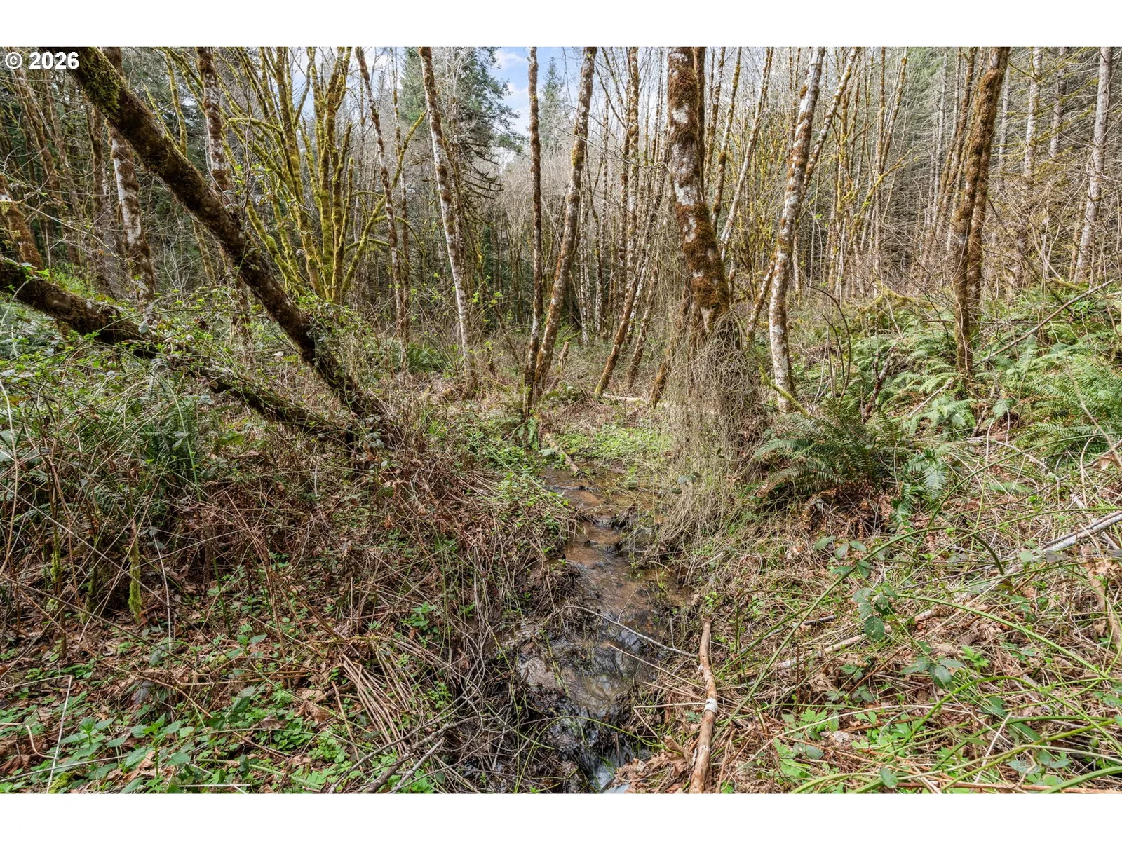 22994 Redoak Ln, Veneta, OR 97487 — photograph 10