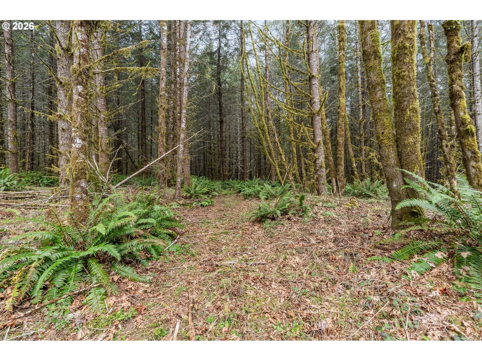 22994 Redoak Ln, Veneta, OR 97487 — photograph 12