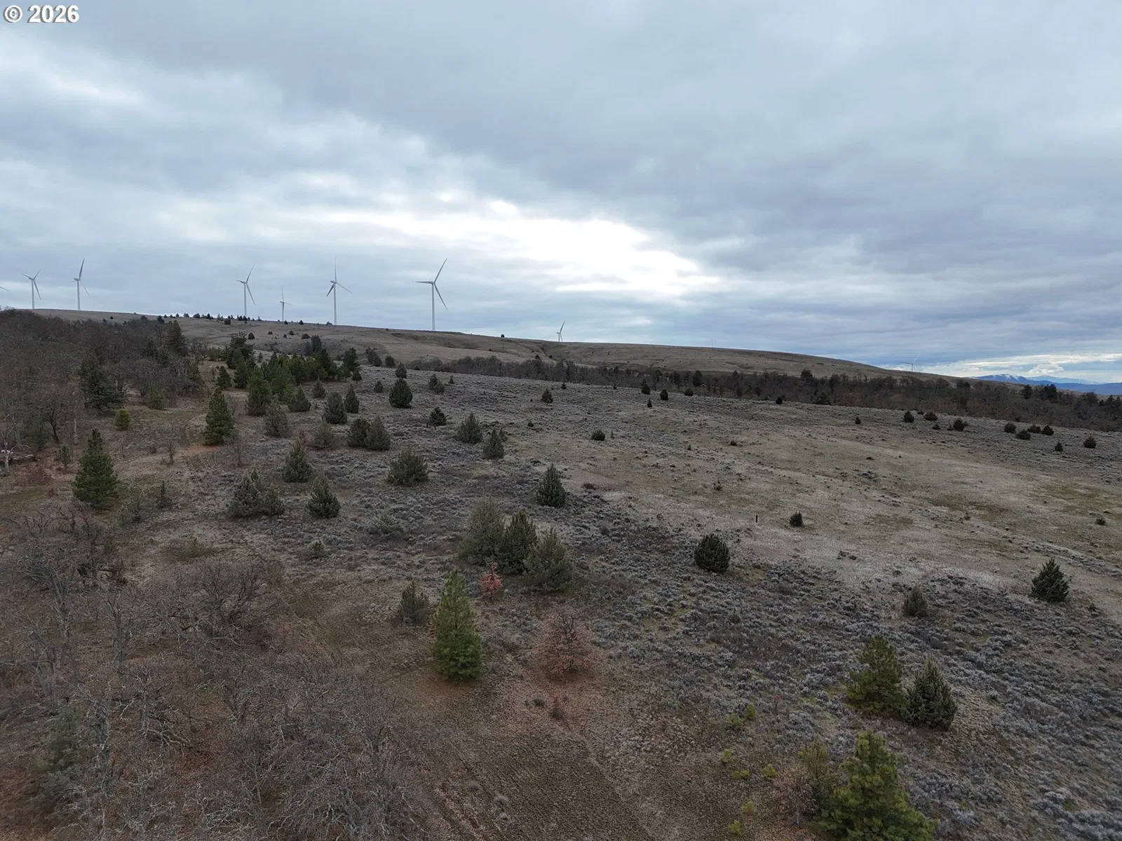 167 Columbia Hills Ln Lot 44, Goldendale, Wa 98620 — photograph 11