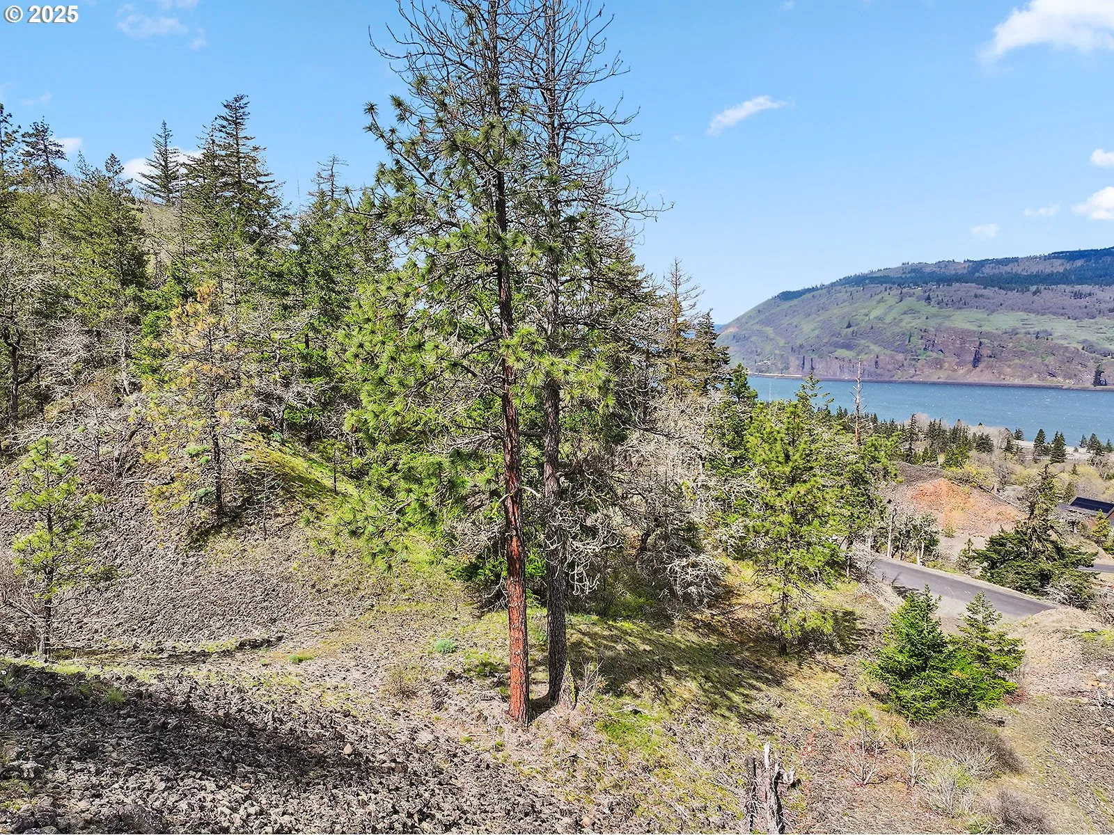 Asher Street 37, Mosier, OR 97040 — photograph 17