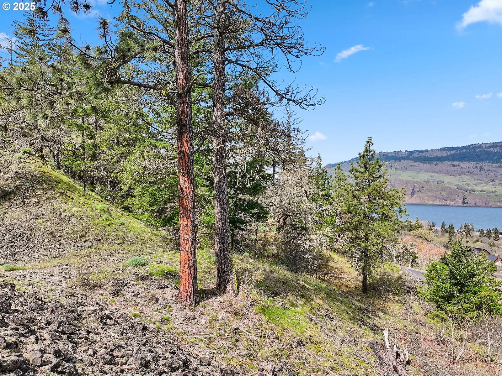 Asher Street 37, Mosier, OR 97040 — photograph 33