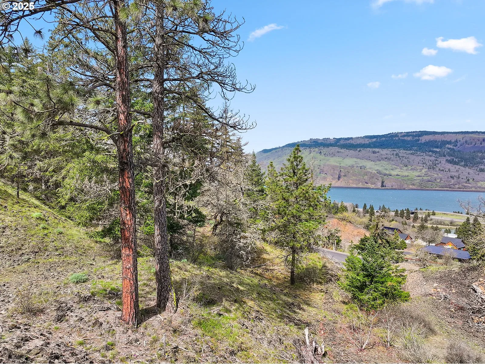Asher Street 37, Mosier, OR 97040 — photograph 34