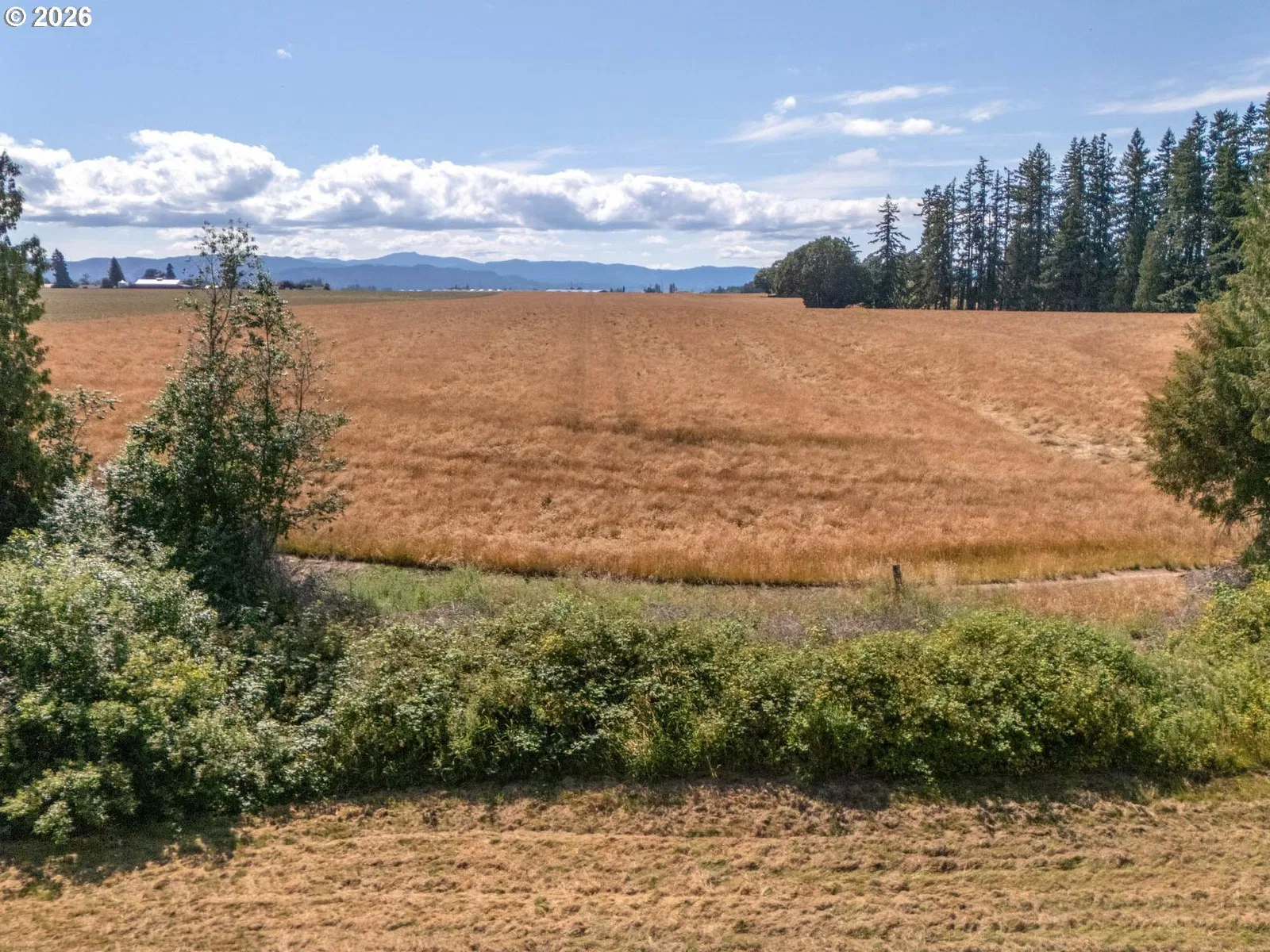 NW Scotch Church Rd, Hillsboro, OR 97124 — photograph 15