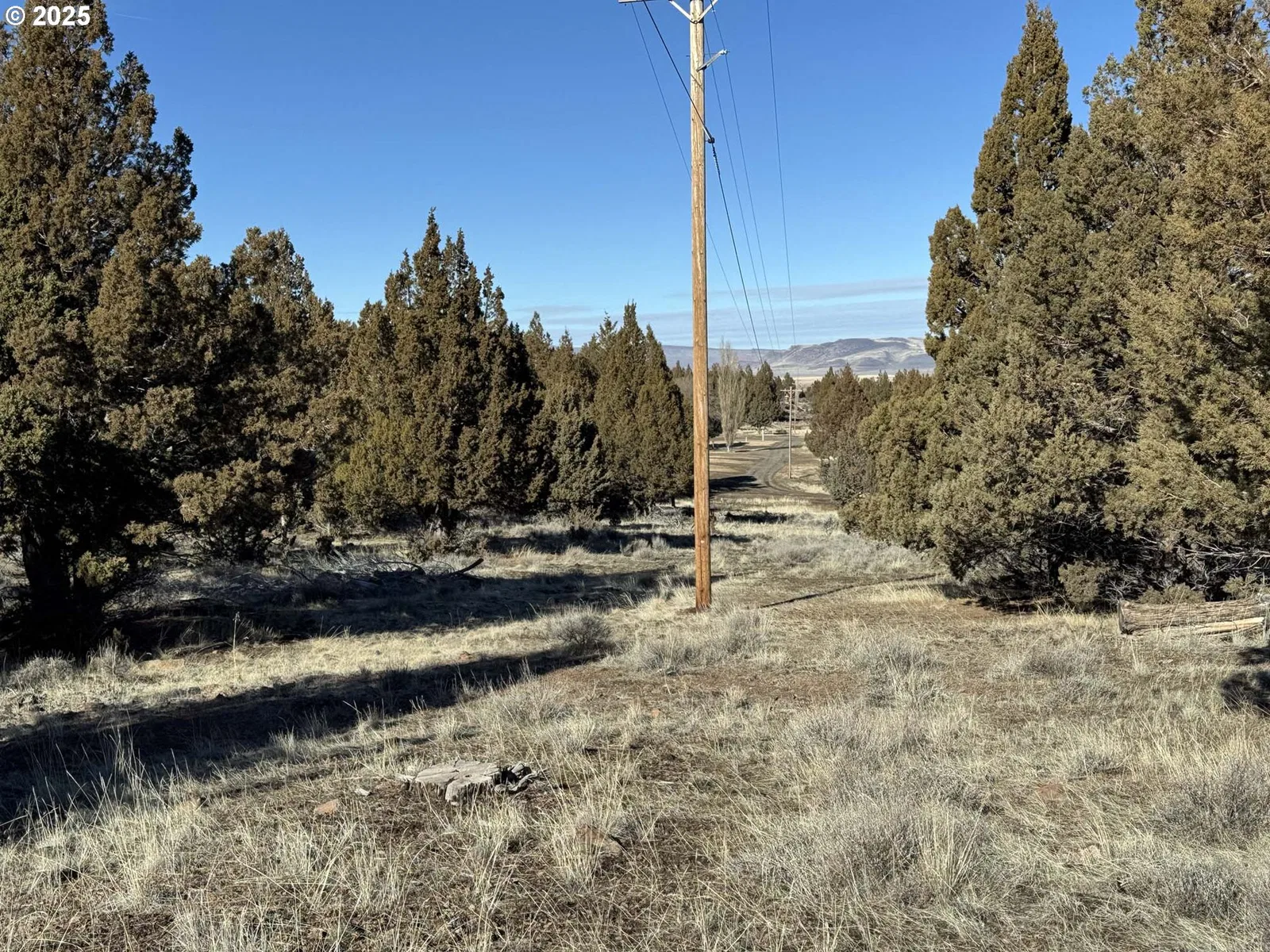 Hwy 395 Tl 2100, Lakeview, OR 97630 — photograph 14