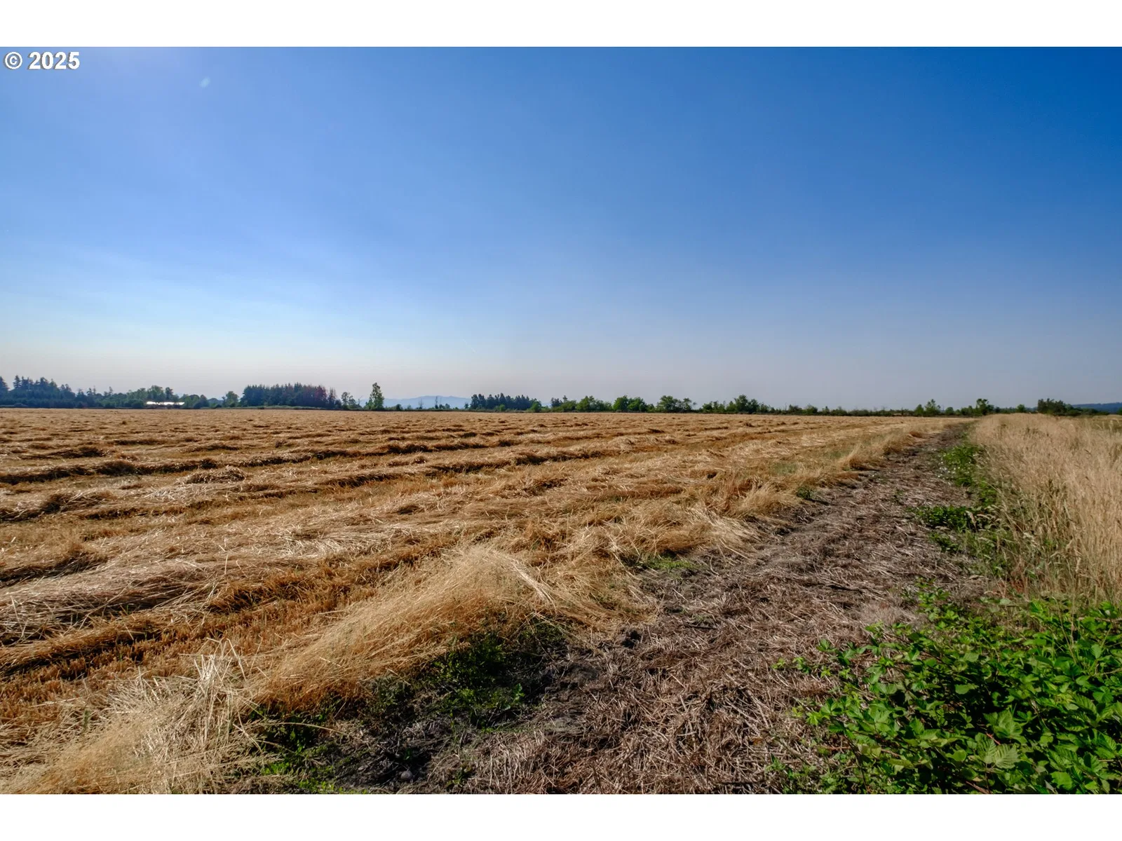 0 Bear Ln, Turner, OR 97392 — photograph 16