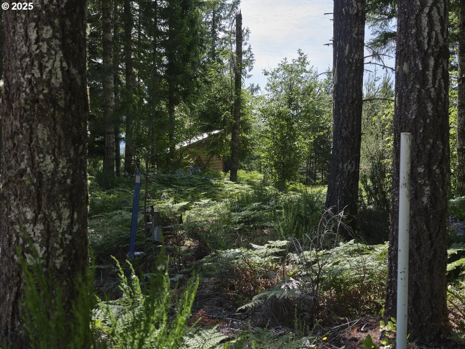 2 Phyllis Ann Block Ct, Cougar, Wa 98616 — photograph 19
