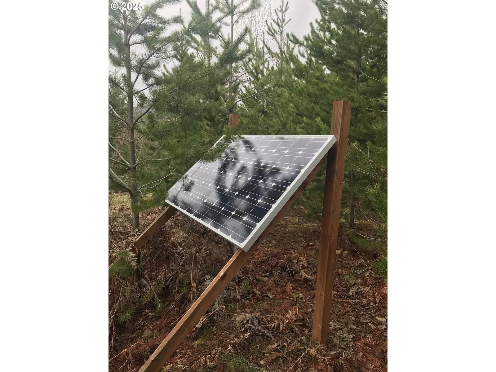 2 Phyllis Ann Block Ct, Cougar, Wa 98616 — photograph 14