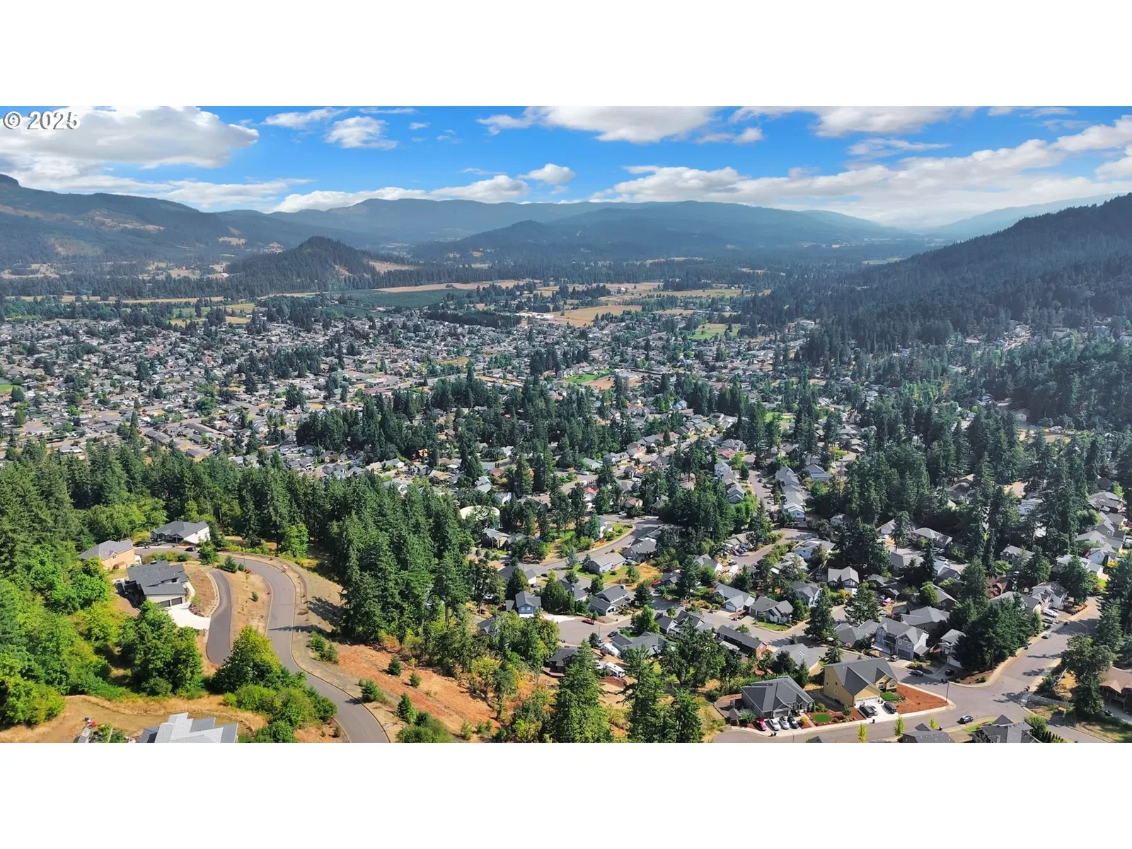 Forest Ridge, Springfield, OR 97478 — photograph 15