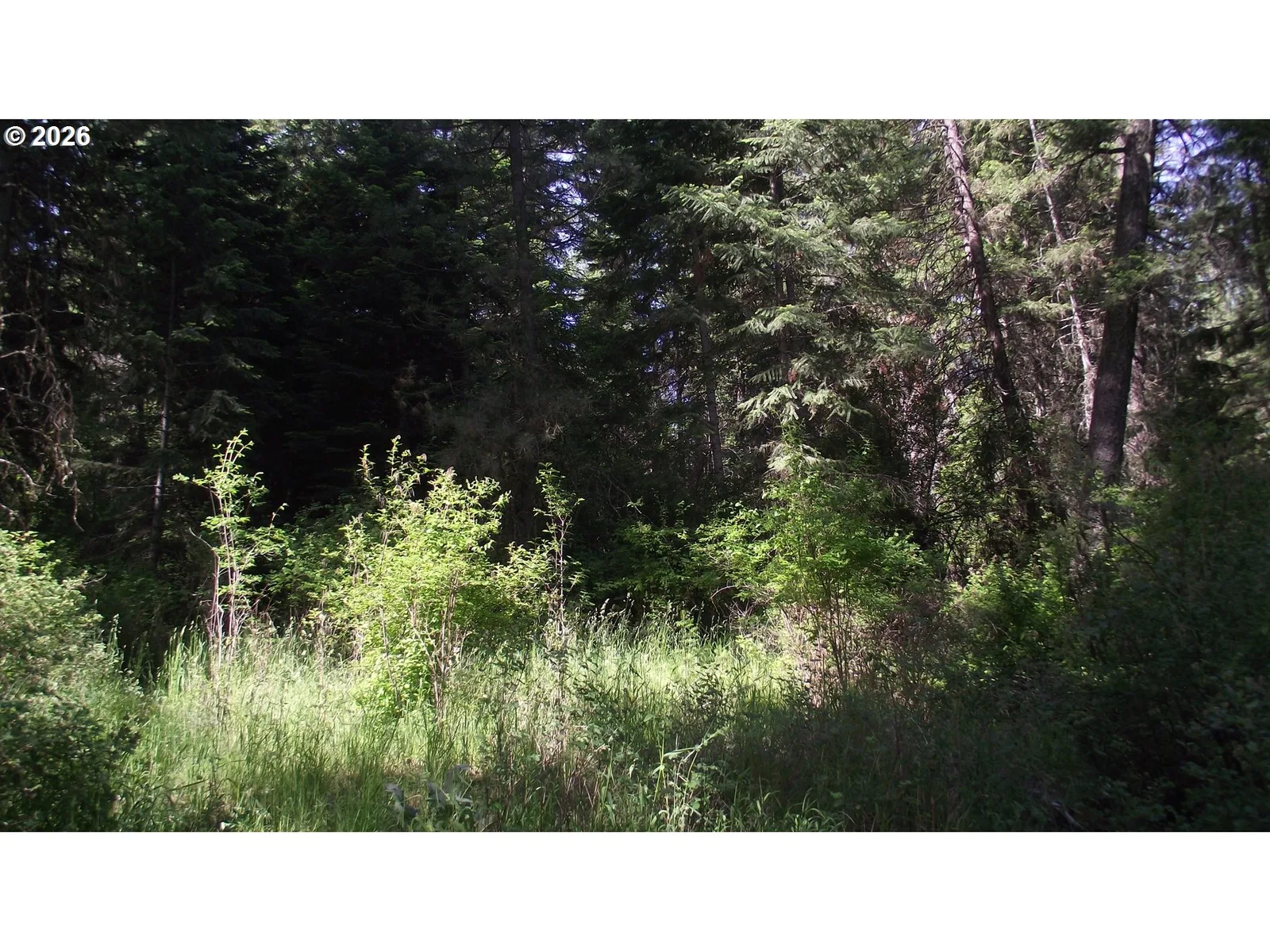 River Canyon Rd, Imnaha, OR 97842 — photograph 10