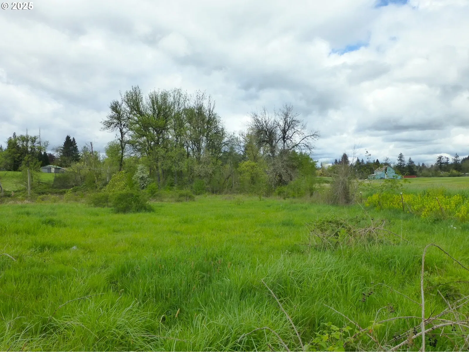 11062 SE 172nd Ave, Happy Valley, OR 97086 — photograph 12