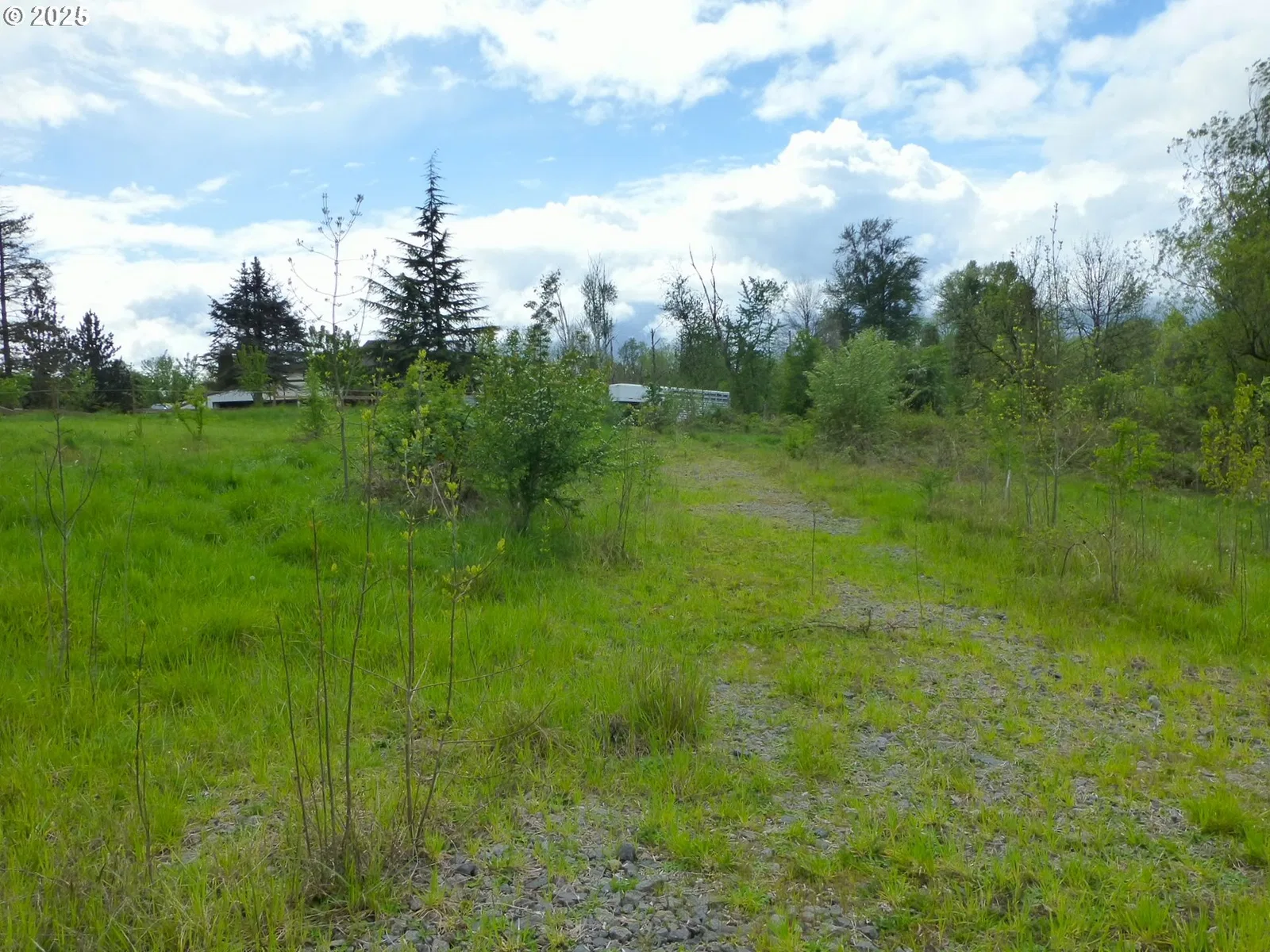 11062 SE 172nd Ave, Happy Valley, OR 97086 — photograph 13