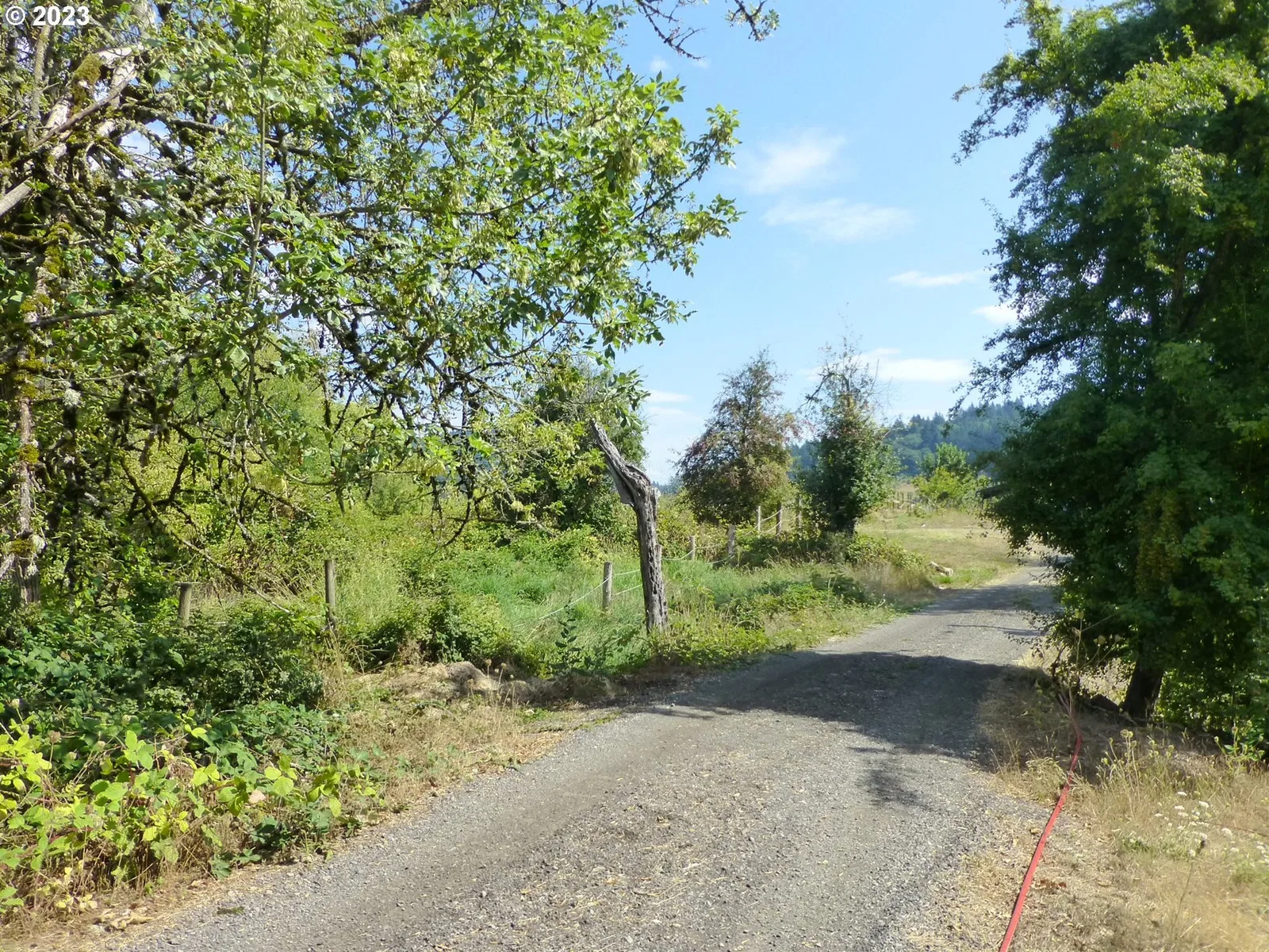 11062 SE 172nd Ave, Happy Valley, OR 97086 — photograph 16