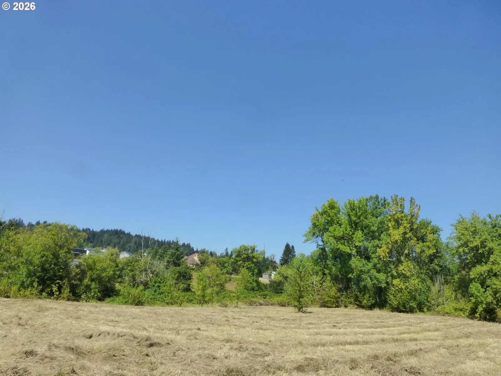 11062 SE 172nd Ave, Happy Valley, OR 97086 — photograph 35