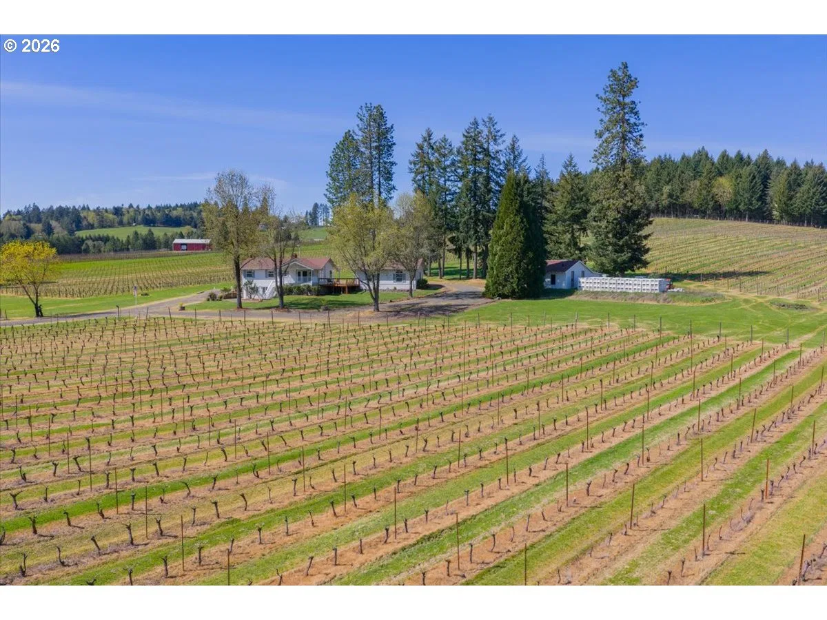 25357 High Pass Rd, Junction City, OR 97448 — photograph 38