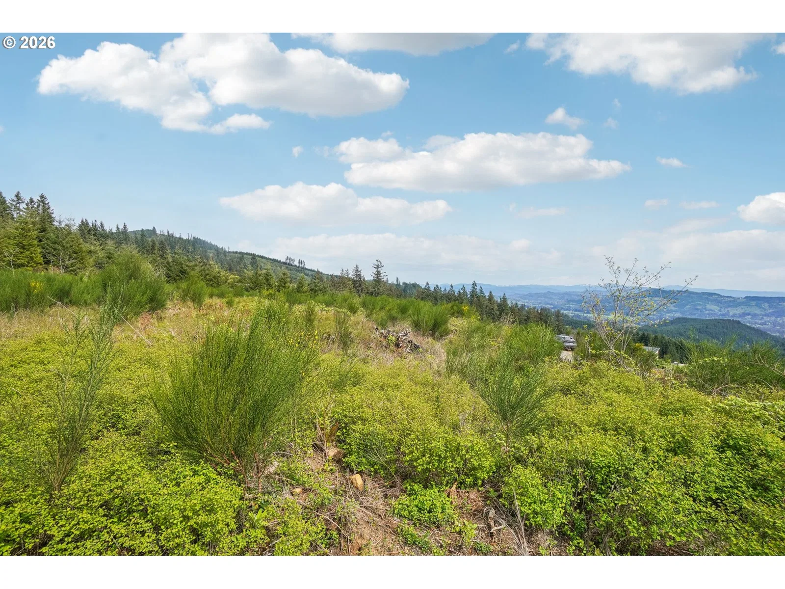 181 High Bank Ln 2, Woodland, Wa 98674 — photograph 18