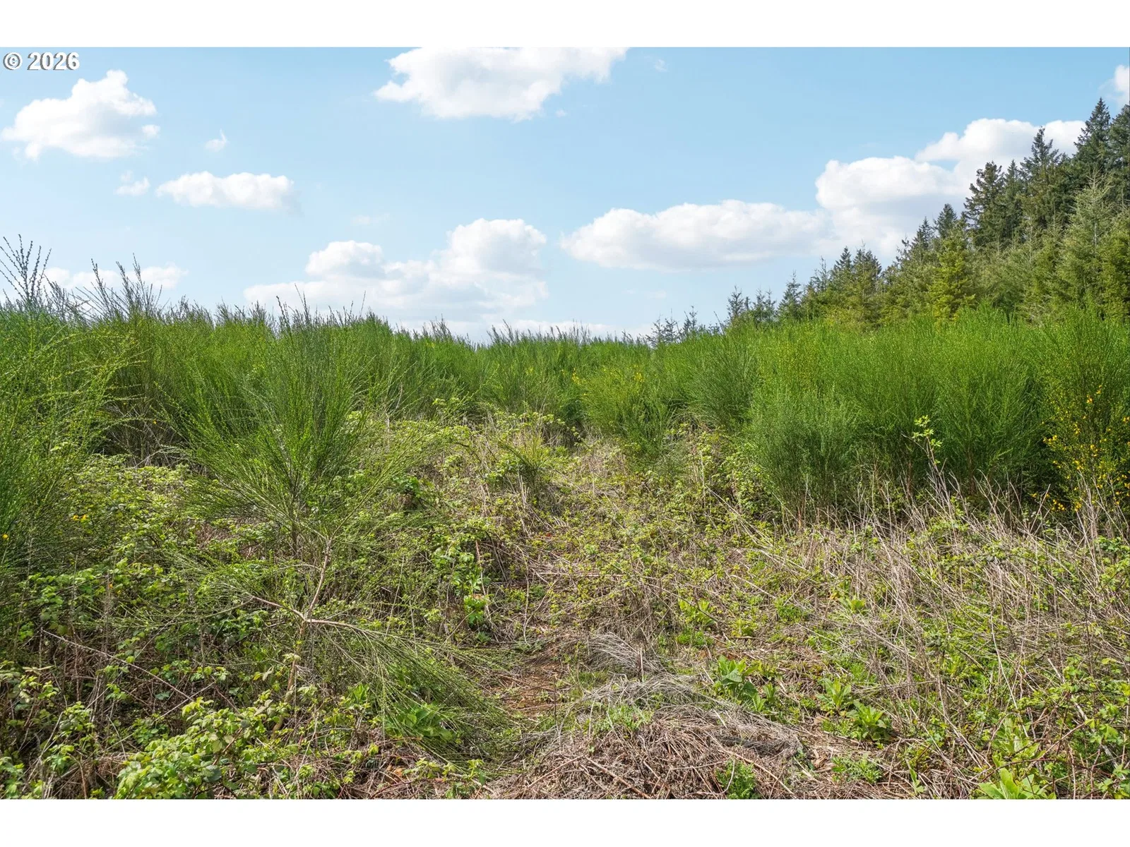 181 High Bank Ln 2, Woodland, Wa 98674 — photograph 22