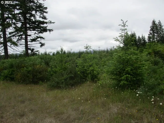 00 Gruber South Rd, Estacada, OR 97023 — photograph 6